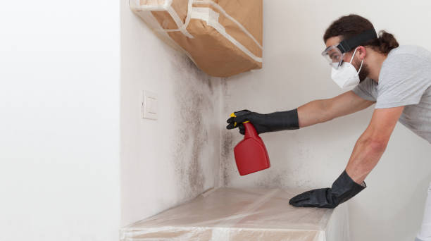 Professional Attic Mold Remediation technician working in Coatesville, PA