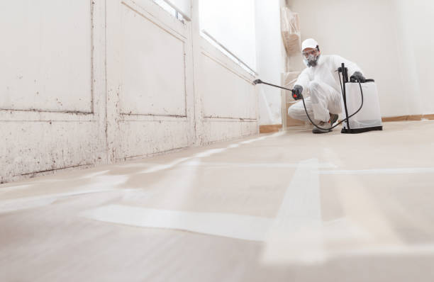 24/7 Emergency Attic Mold Remediation experts in Coatesville, PA